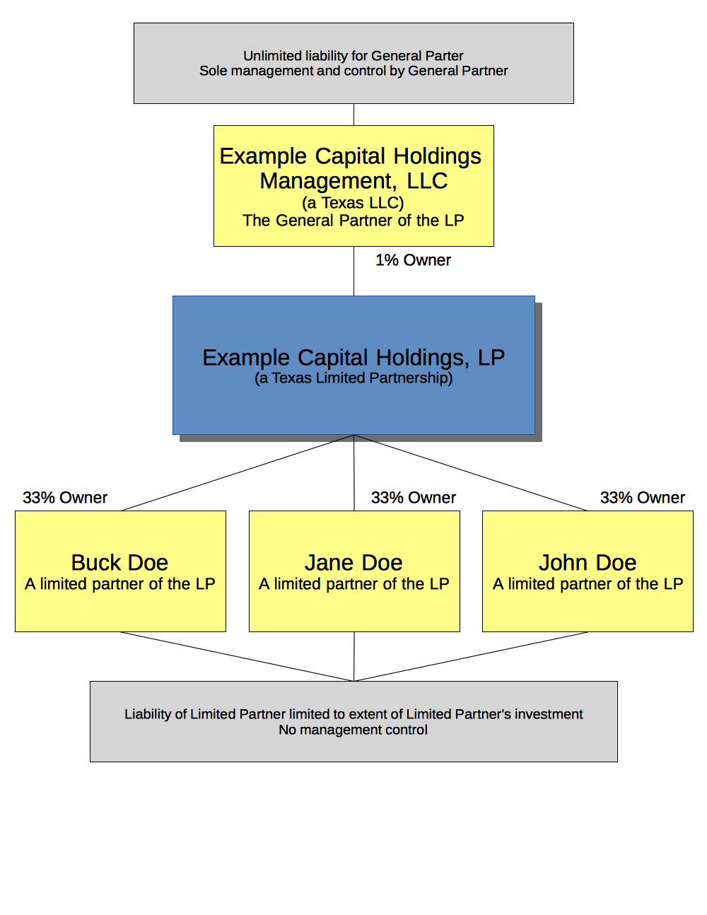 legal entity of venture capital company